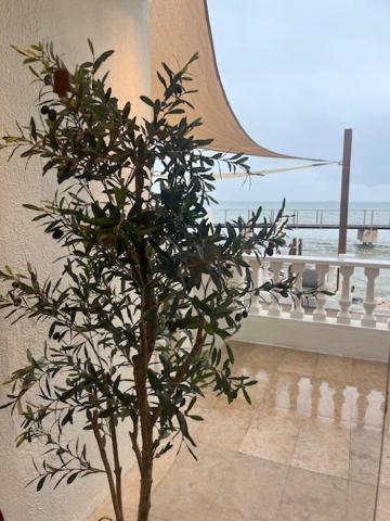 Hotel Restaurant Juanito Platja Sant Carlos de la Ràpita Exterior foto